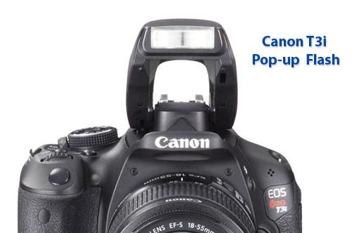 Creative ways to use your Canon t3i Flash to get great photos and built-in flash alternatives