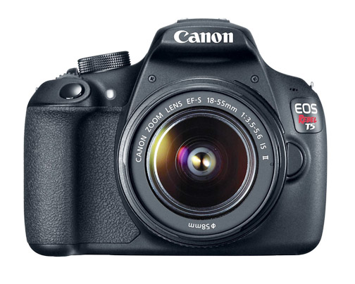 Canon Camera Advice-Entry Level DSLR for CT after answering questions for the best Canon for his situation