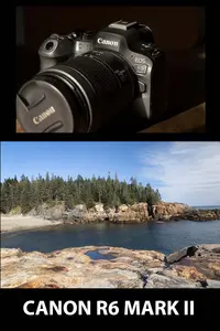 Image Quality? To go along with my review, you can see these Canon R6 Mark II sample photos in high resolution on this full width webpage. 