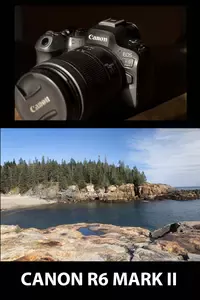 Image Quality? To go along with my review, you can see these Canon R6 Mark II sample photos in high resolution on this full width webpage. 