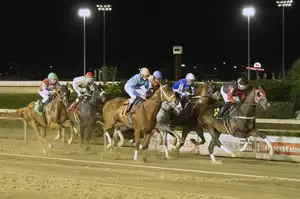 R6 M2 high resolution, high ISO sample photos. Will this full frame mirrorless camera give you high ISO performance? Canon R6 Mark II High ISO Test. shocked!