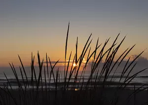 Which is the best of the 3 versions of the Canon RF 24-105mm Lens for Canon mirrorless cameras? What's The 24-105 Lens Good For