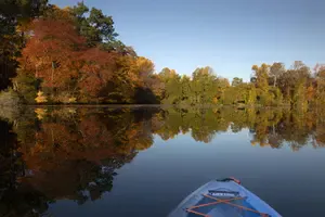 There's a lot you can easily learn about Canon's mirrorless R6 Mark II camera. Get your questions answered in this R6 Mark II FAQ