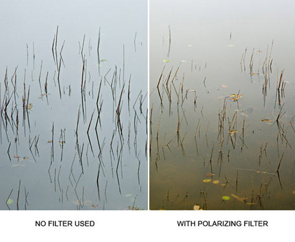 with and without polarizing filter comparison