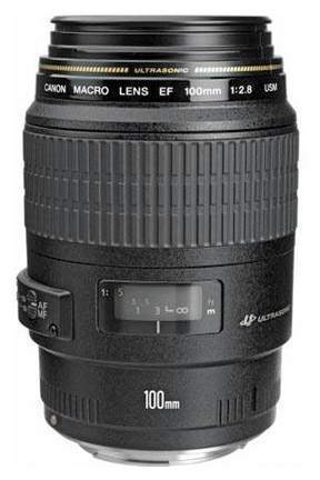 The 100mm EF-S Macro lens works great with the Canon t3i for good close-up photography