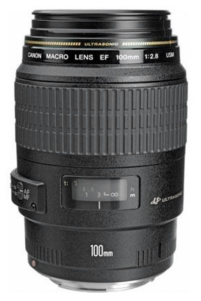 best lenses for canon t3i
