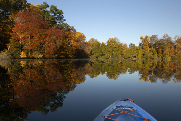 Canon 24mm lens sample