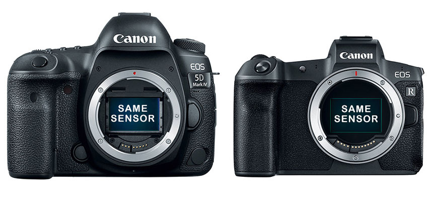 Canon 5D M3 Vs Canon R size comparison