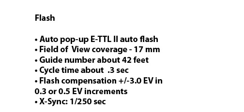 Canon 60D Flash Specs