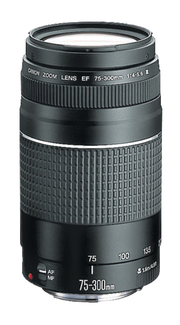 Canon 75-300mm Lens (non IS)