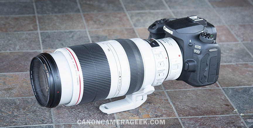 Canon 90D + 1.4X Extender + 100-400mm II Lens