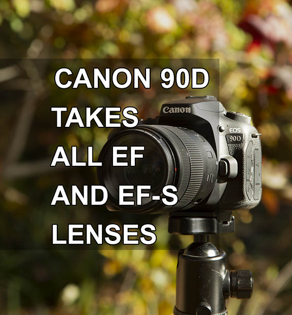 Canon 90D and EF lens