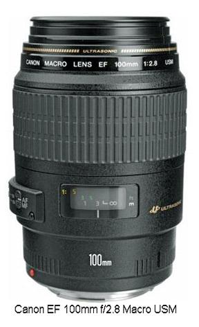 Canon 100mm f2.8 macro lens