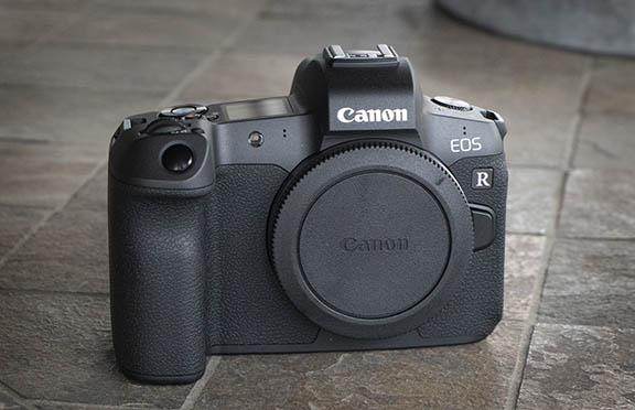 Canon 5D Mark III replacement