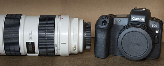 Canon R camera + 70-200mm lens