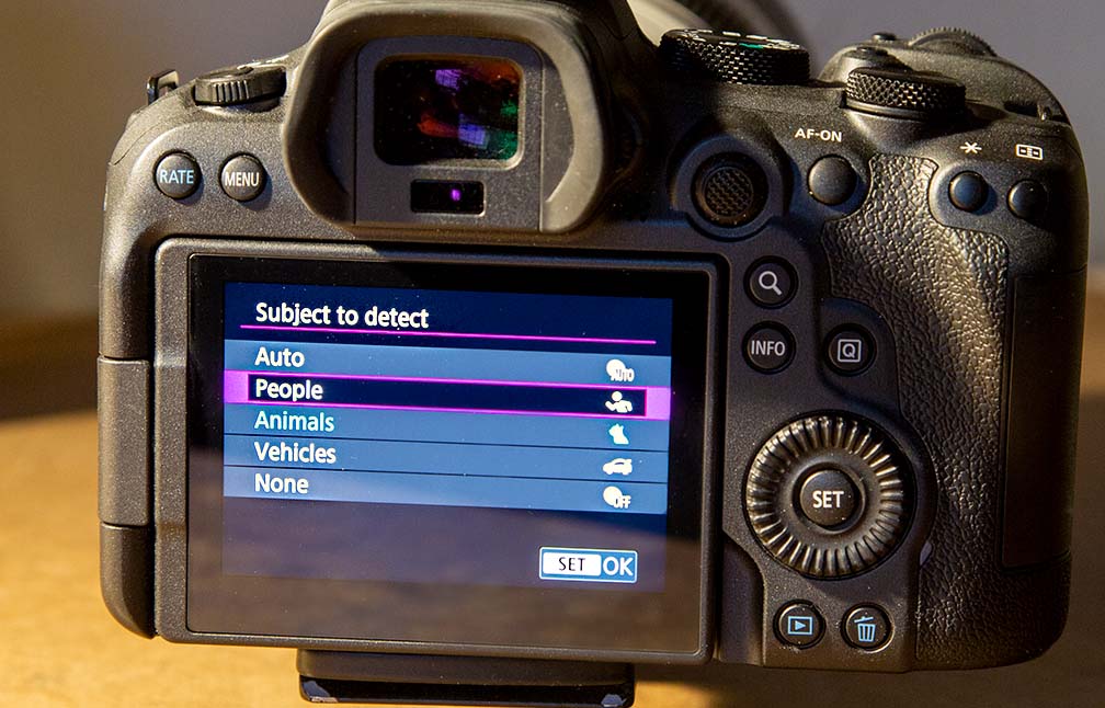Canon R6 Mark II Subject Detection