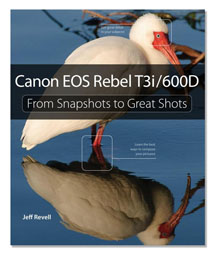 An alternative to using the manula is a good Canon t3i book