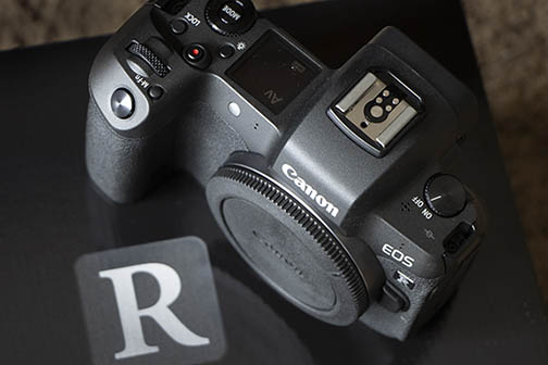 Canon R camera