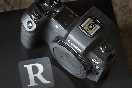 Is The Canon R Any Good. Is it a Professional Camera, Worth the Money?