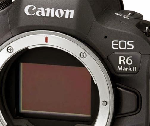 Canon R6 Mark II Sensor