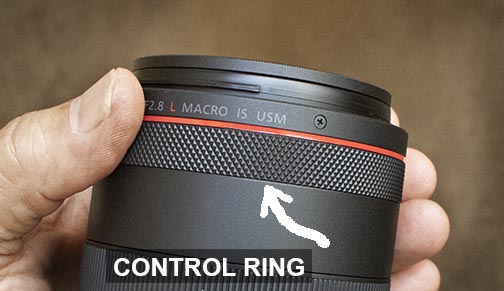 Control ring on RF 100mm macro lens