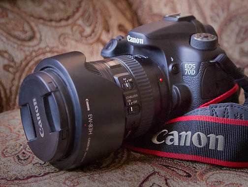 Diagonal View of Canon EOS 70D Camera