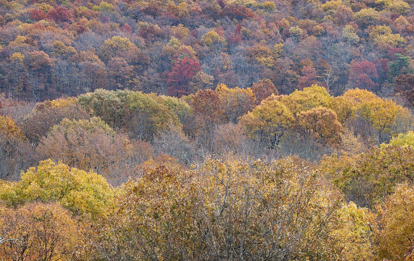 Fall colors Appalachian Trail New Jersey