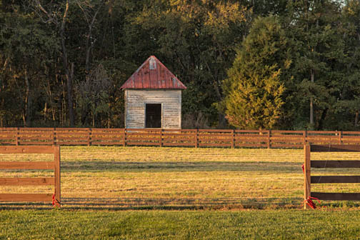 Fence and sunlight