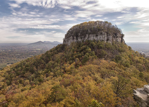 I added some images and named them G1X Mark II nature photos in North Carolina