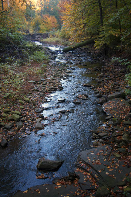 Ricketts Glen Waterfall-1 70D