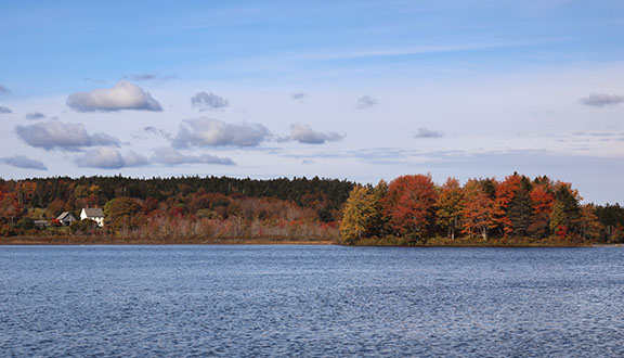 Seal Cove Pond Fall colors