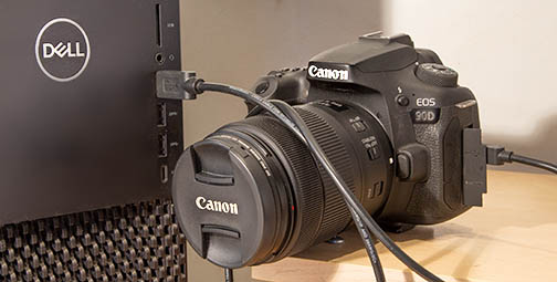 compare canon r5 and sony a7riv