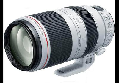 Canon 100-400 f/4.5-5.6 USM II  Lens