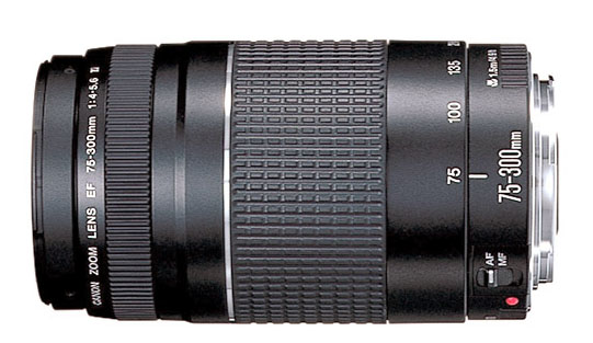 Canon 75-300mm Lens