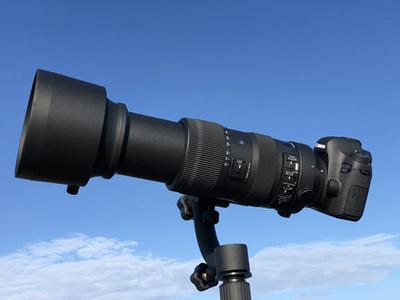 Sigma 60-600mm For Canon