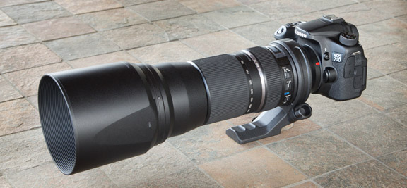 canon 500d body price