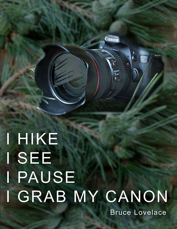 Grab Canon Equipment Quote by Bruce Lovelace