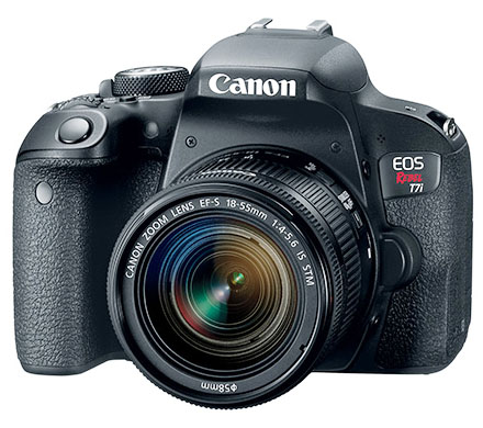 Which Canon Rebel Accessories Are Good Which Are Worthless For 2021 [ 390 x 440 Pixel ]