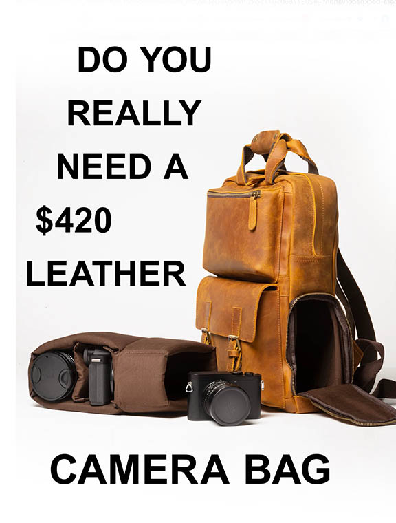 Costly leather camera bag