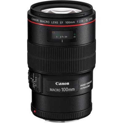 Canon 100mm Macro Lens