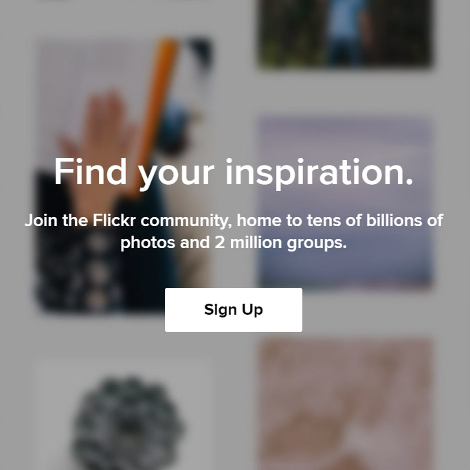 Flickr Website Screenshot