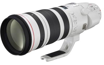 Canon 200-400mm Zoom With Built in 1.4x Tele Converter