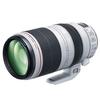 Canon 100-400 Lens