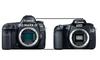 Canon 5D Mark IV vs Canon 60D Height Comparison