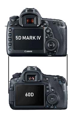 Canon 5D Mark IV vs Canon 60D Size Comparison