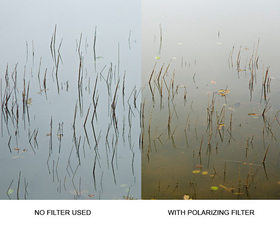 with and without polarizing filter comparison
