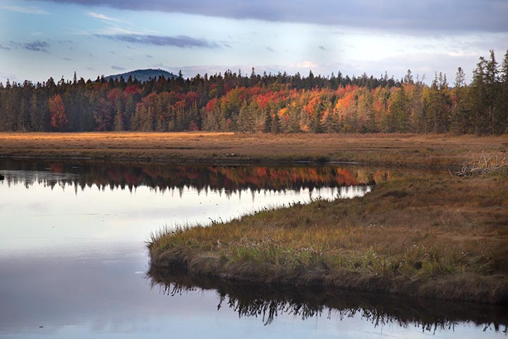 Acadia landscape Oct 2021