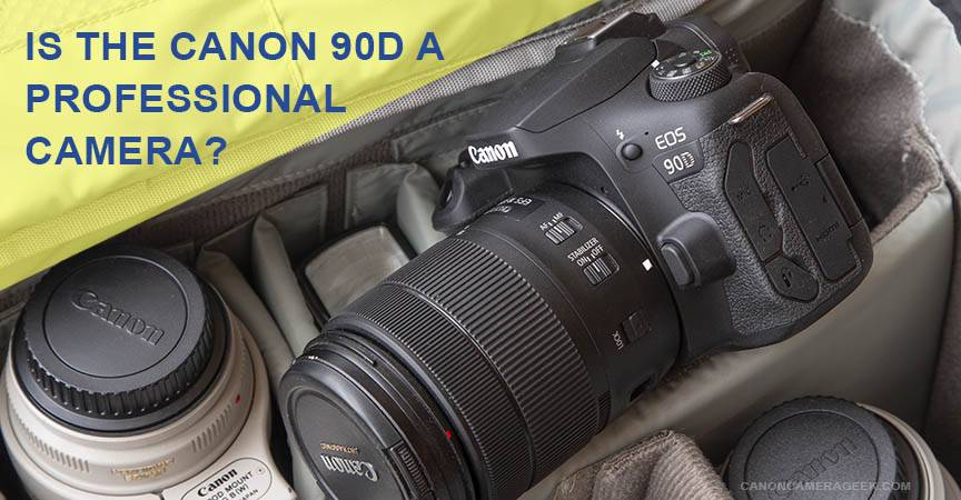 What is The Canon 90D Good For? Canon EOS 90D Review and Sample Photos