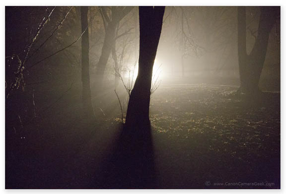 Nighttime Fog Scene