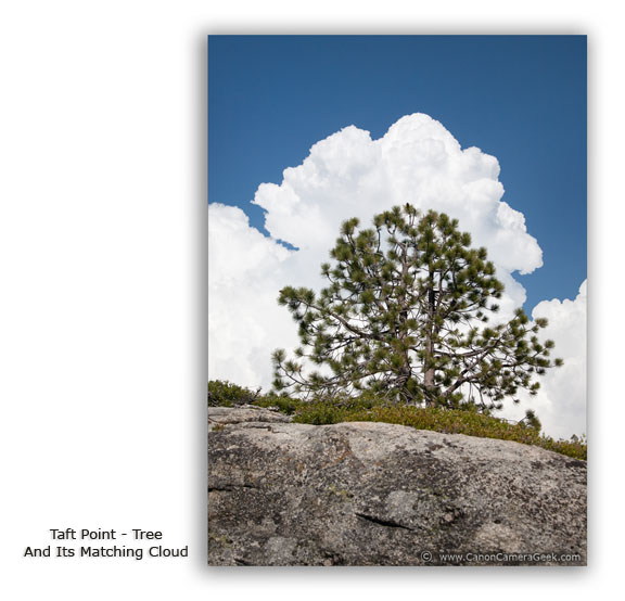 Taft Point-tree and matching cloud taken with Canon 5d